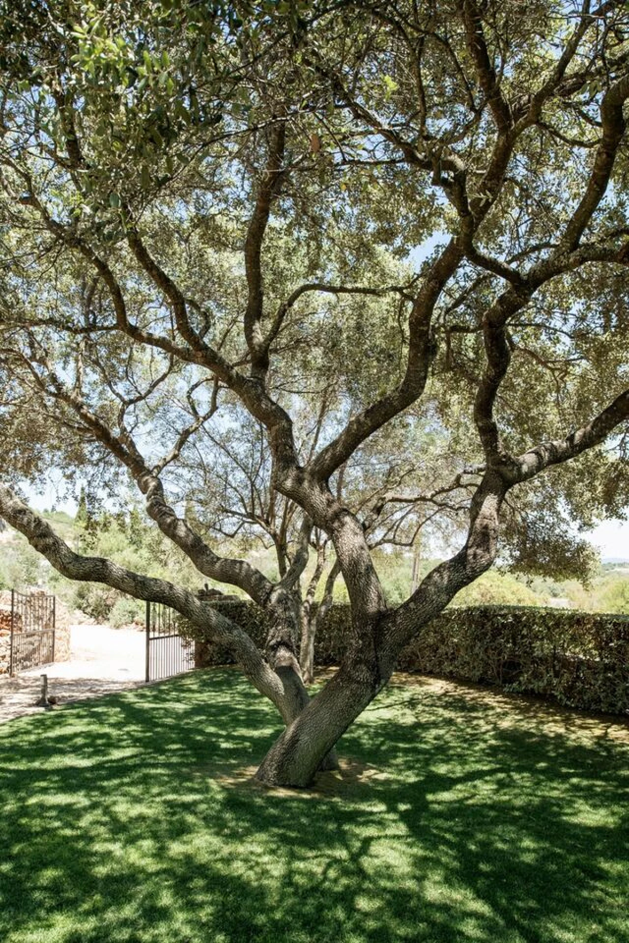 Moradia T5 para Venda em Silves Foto 30