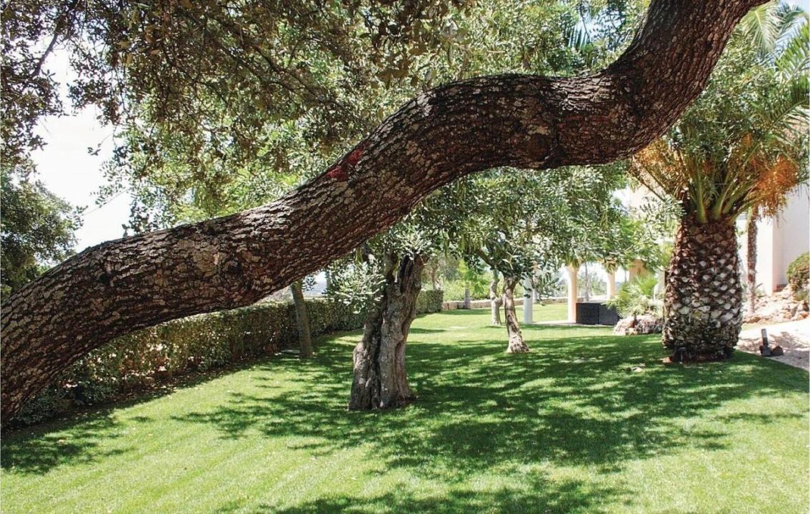 Moradia T5 para Venda em Silves Foto 33