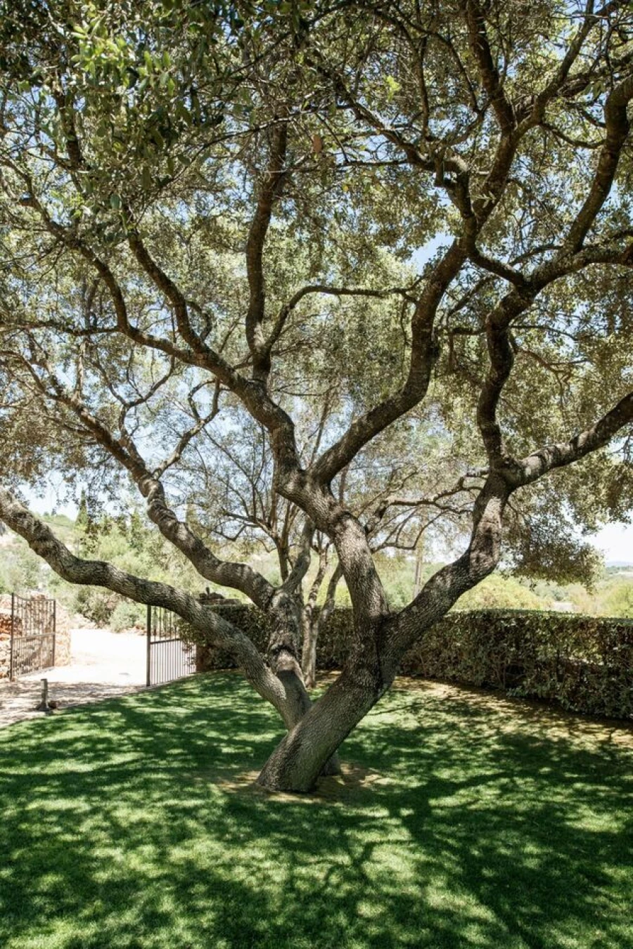 Moradia T5 para Venda em Silves Foto 30