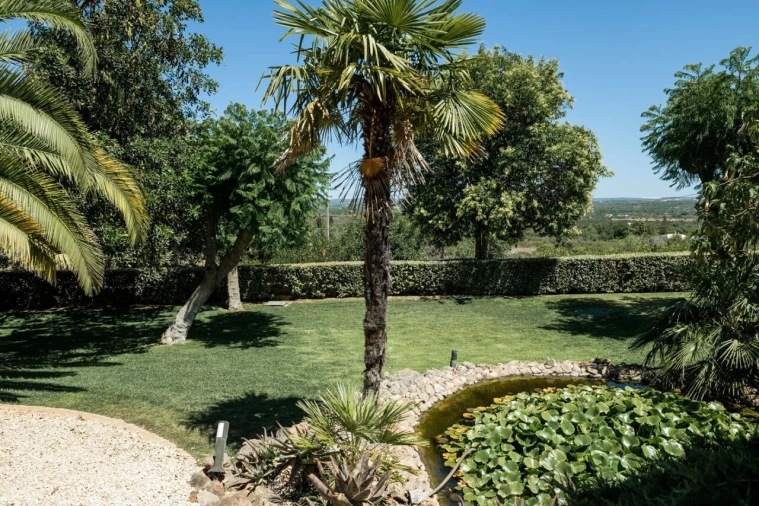 Moradia T5 para Venda em Silves Foto 32