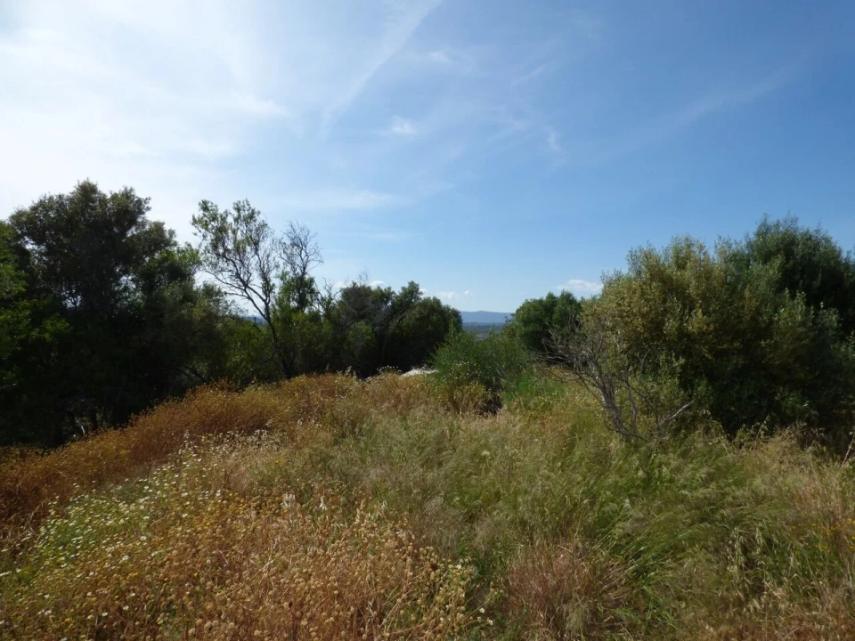 Moradia T3 para Venda em Silves Foto 29