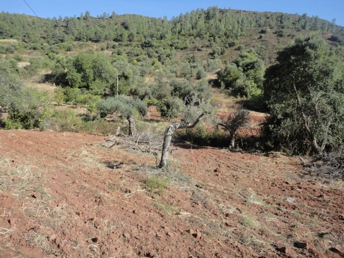 Moradia T1 para Venda em São Bartolomeu de Messines Foto 4