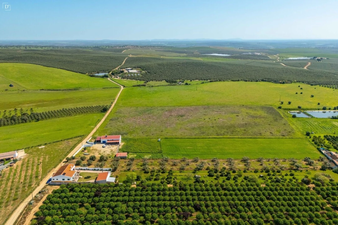 Moradia T3 para Venda em Baleizão Foto 44