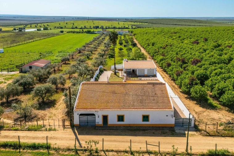 Moradia T3 para Venda em Baleizão Foto 40