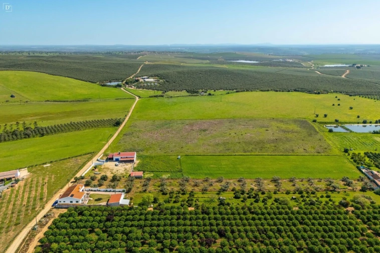 Moradia T3 para Venda em Baleizão Foto 44