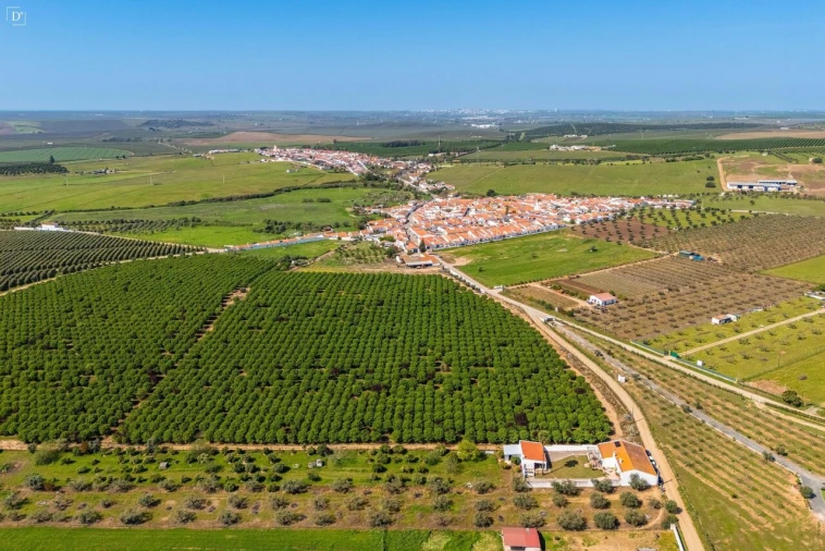 Moradia T3 para Venda em Baleizão Foto 42