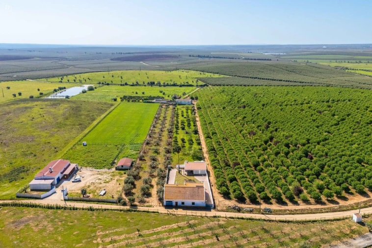 Moradia T3 para Venda em Baleizão Foto 41