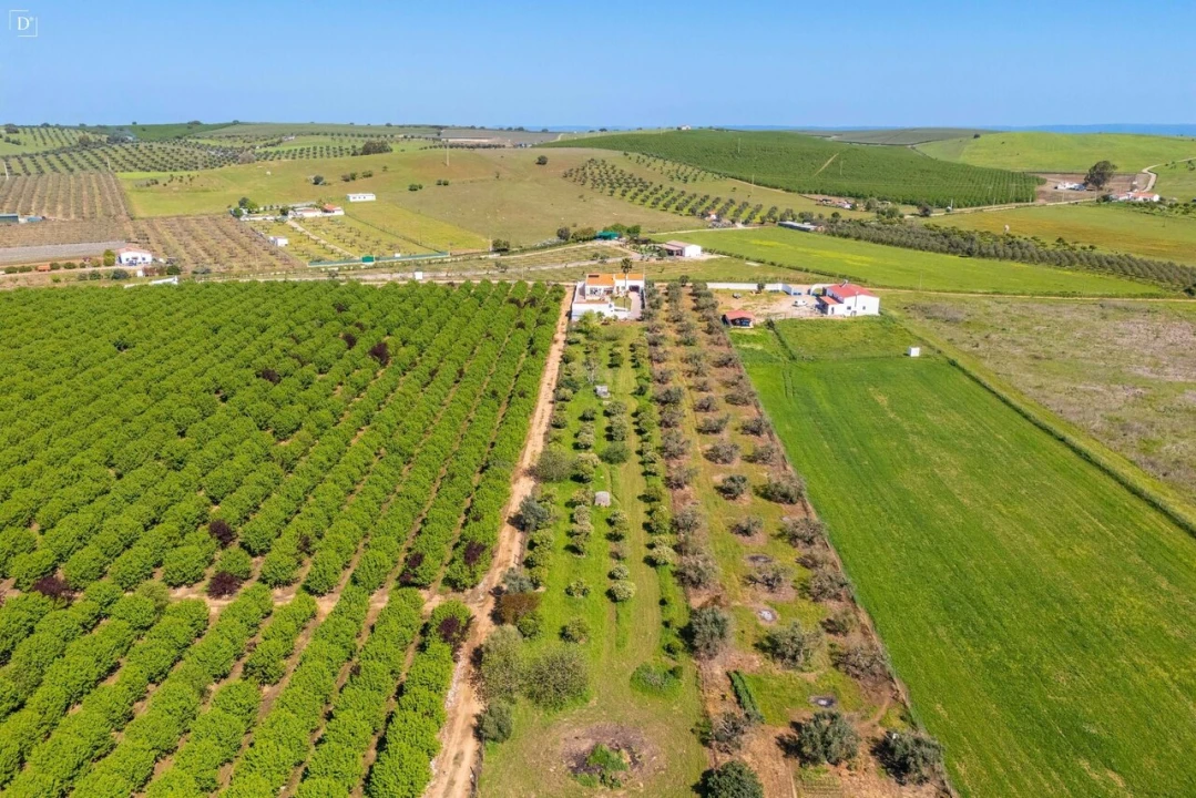 Moradia T3 para Venda em Baleizão Foto 3