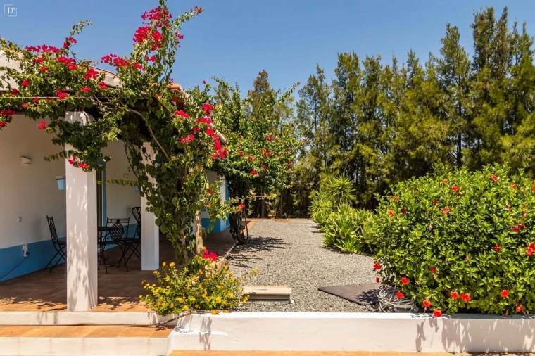 Moradia T3 para Venda em Santana de Cambas Foto 33