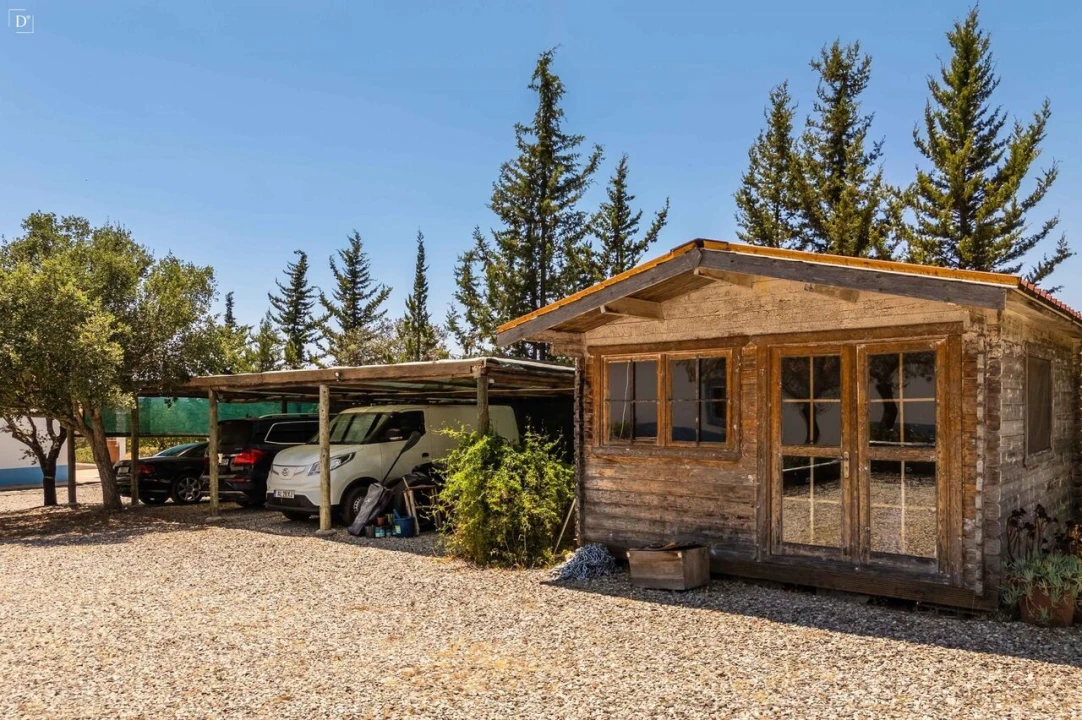 Moradia T3 para Venda em Santana de Cambas Foto 37