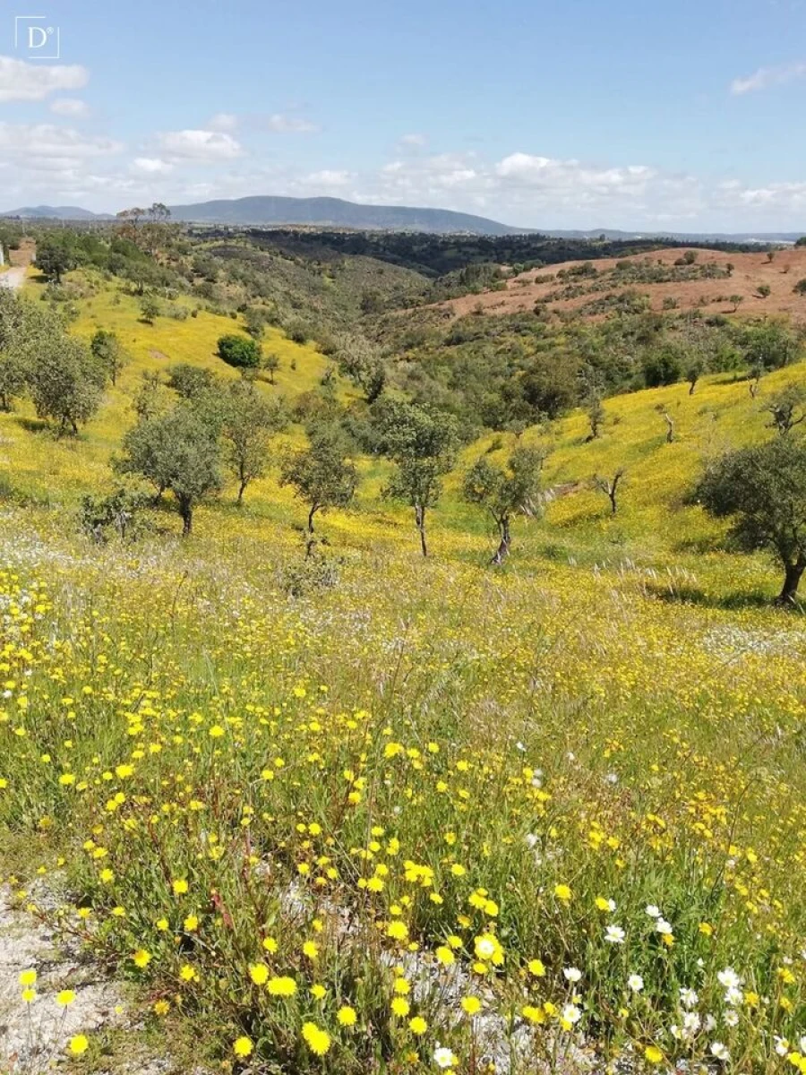 Moradia T2 para Venda em Vila Verde de Ficalho Foto 26
