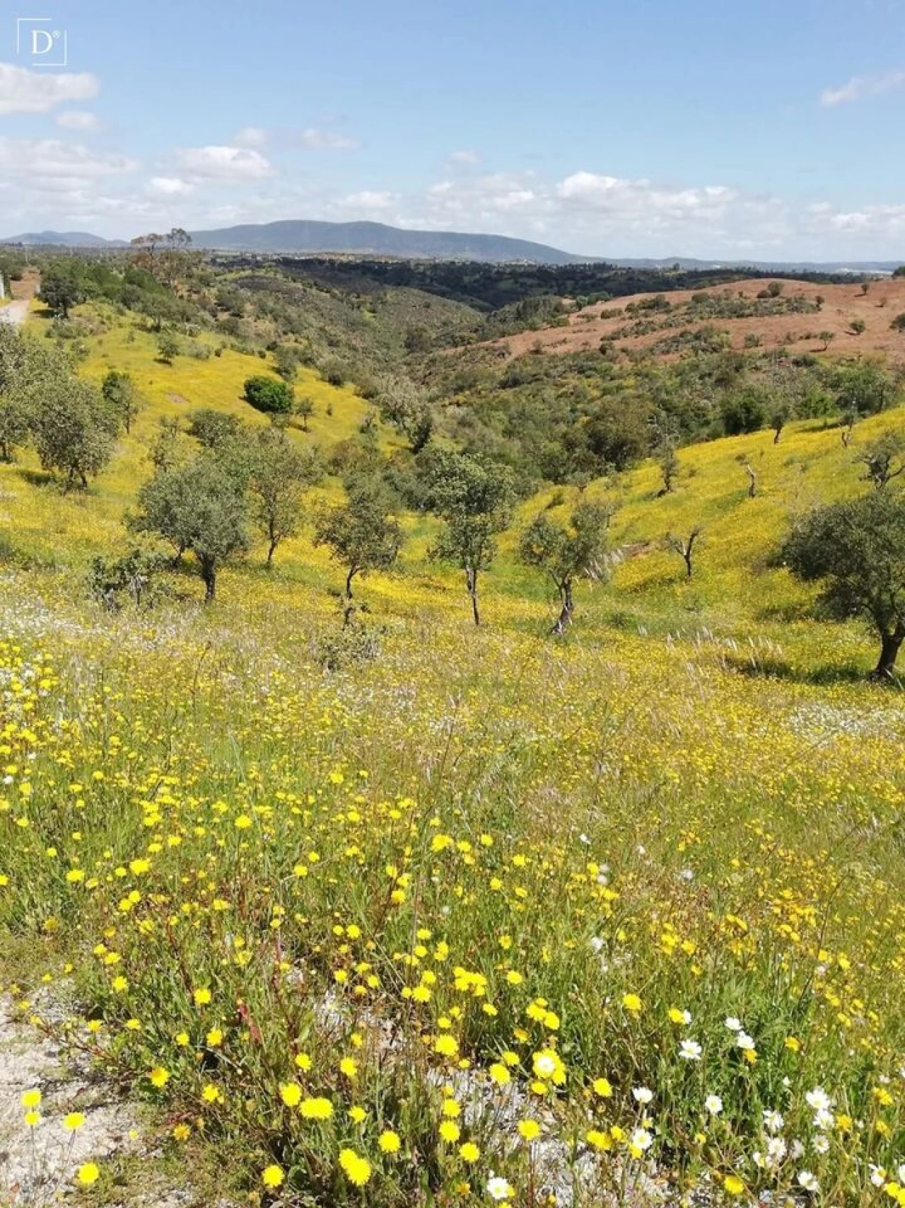 Moradia T2 para Venda em Vila Verde de Ficalho Foto 26