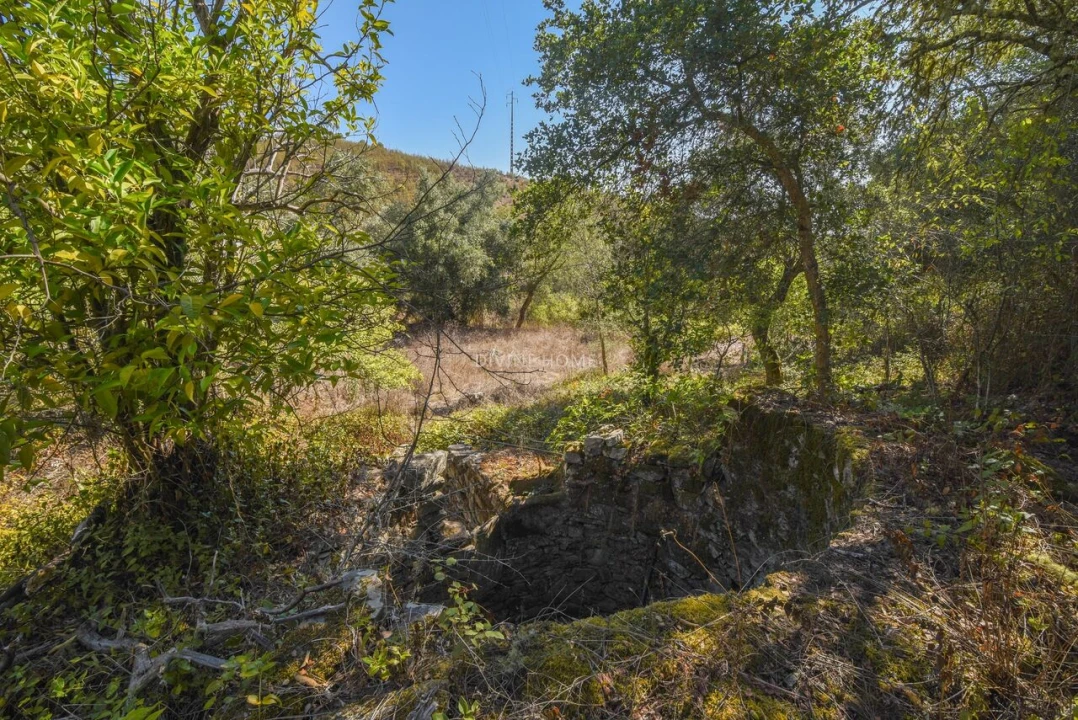 Moradia T5 para Venda em Santana da Serra Foto 22