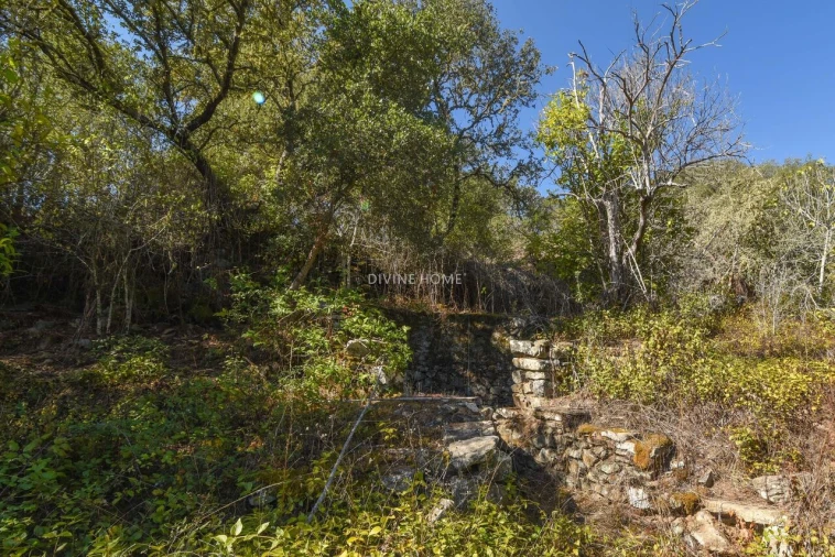 Moradia T5 para Venda em Santana da Serra Foto 19