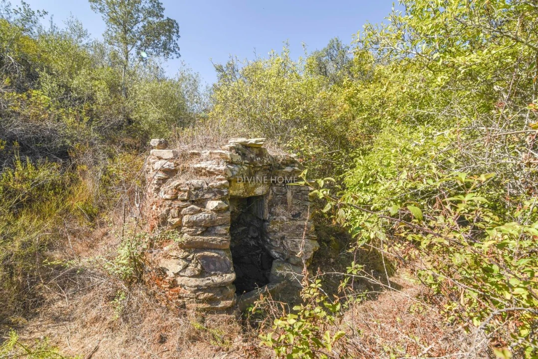 Moradia T5 para Venda em Santana da Serra Foto 24