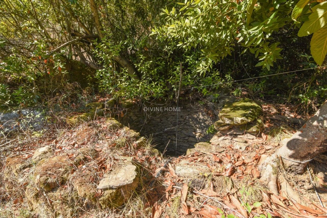 Moradia T5 para Venda em Santana da Serra Foto 21