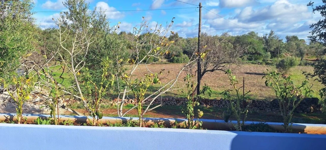 Moradia T4 para Venda em São Bartolomeu de Messines Foto 33