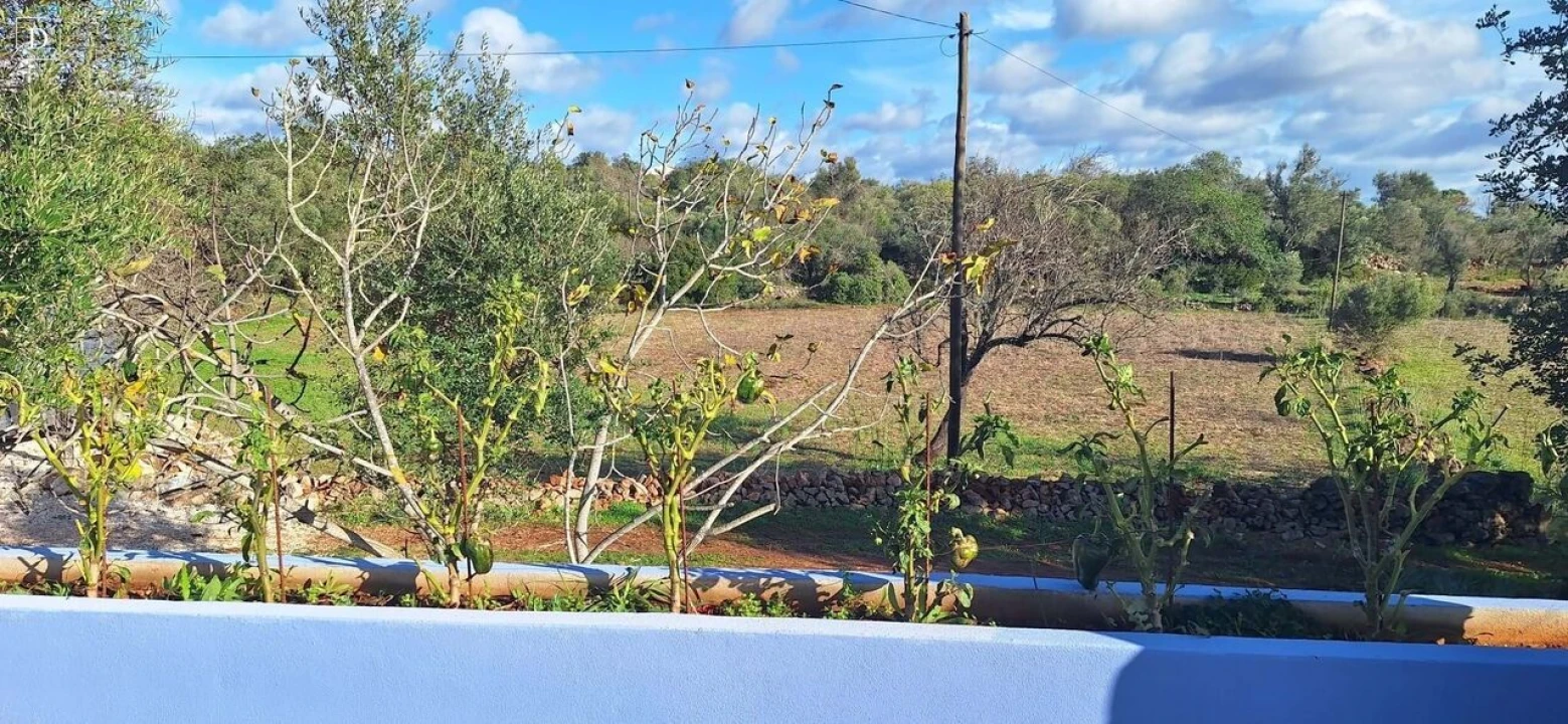 Moradia T4 para Venda em São Bartolomeu de Messines Foto 33