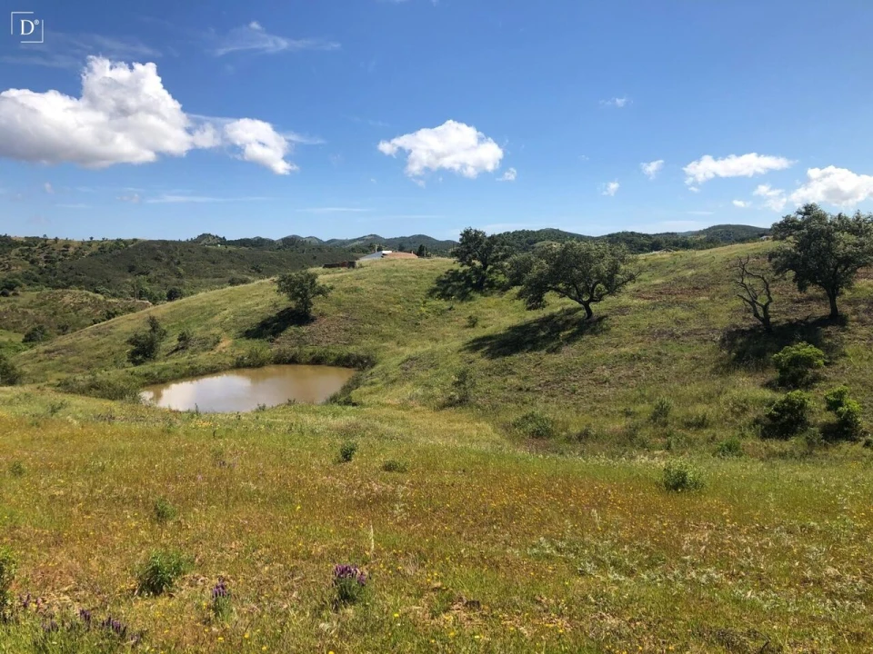 Terreno para Venda em São Marcos da Serra Foto 7