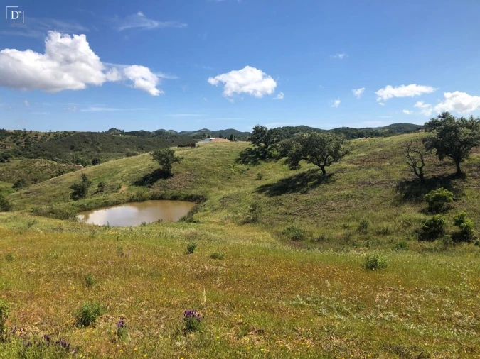 Terreno para Venda em São Marcos da Serra Foto 7