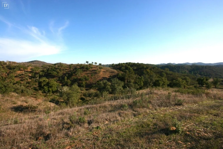 Terreno para Venda em São Marcos da Serra Foto 20