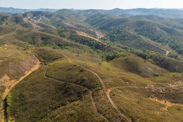 Terreno para Venda em São Marcos da Serra Foto 16