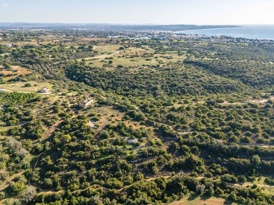 Terreno para Venda em Porches Foto 5