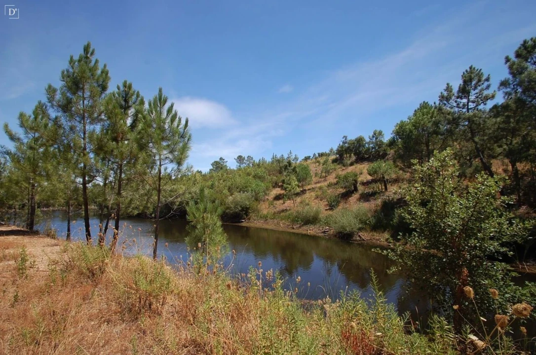 Terreno para Venda em São Brás de Alportel Foto 23