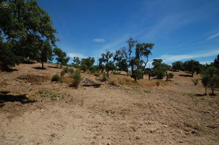 Terreno para Venda em São Brás de Alportel