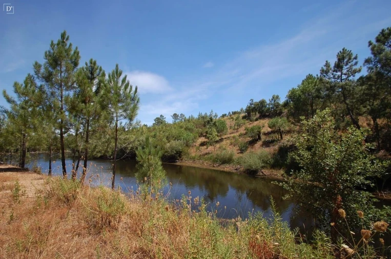 Terreno para Venda em São Brás de Alportel Foto 23