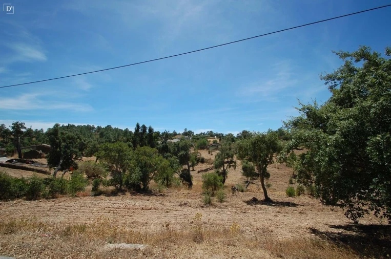Terreno para Venda em São Brás de Alportel Foto 19