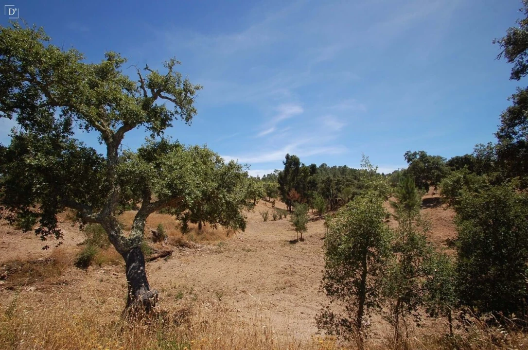 Terreno para Venda em São Brás de Alportel Foto 16