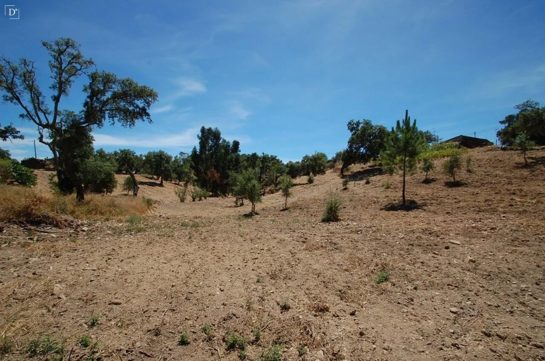 Terreno para Venda em São Brás de Alportel Foto 18