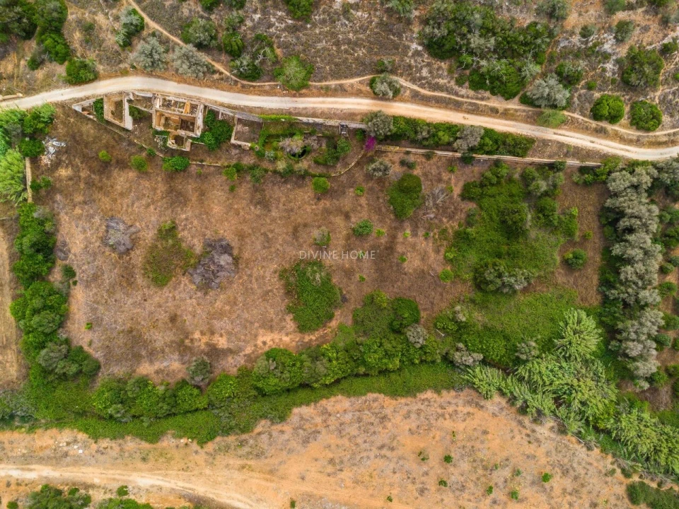 Terreno para Venda em Alcantarilha e Pêra Foto 3