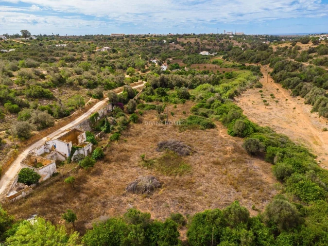 Terreno para Venda em Alcantarilha e Pêra Foto 5