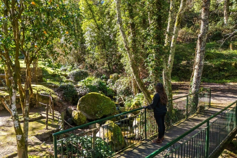 Loja para Venda em Monchique Foto 2