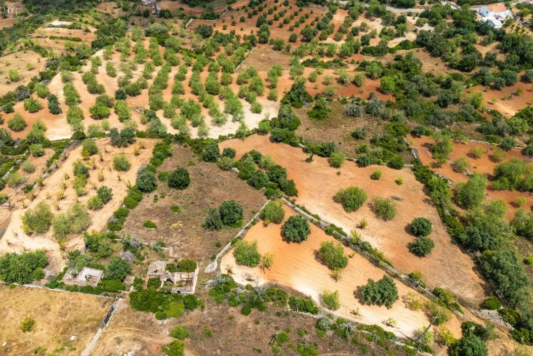 Terreno para Venda em Boliqueime Foto 15