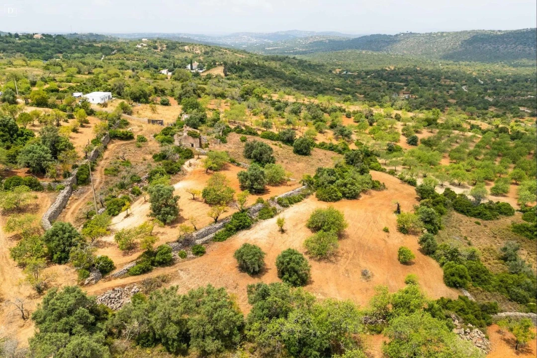 Terreno para Venda em Boliqueime Foto 19