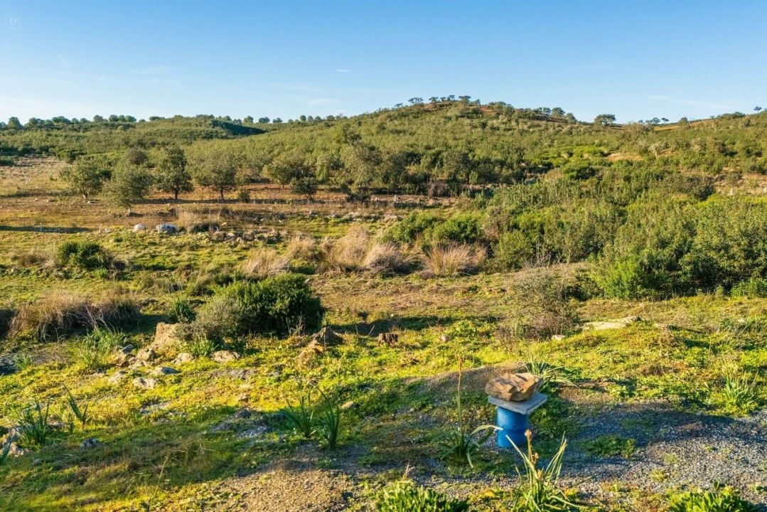 Terreno para Venda em Mertola Foto 7