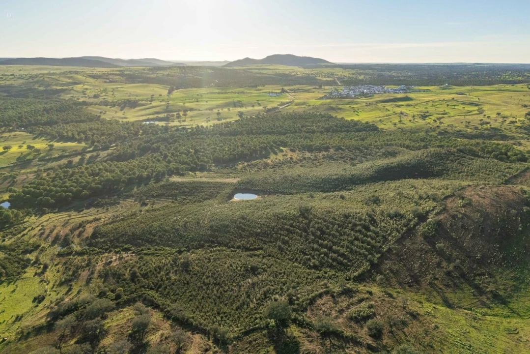 Terreno para Venda em Mertola Foto 4