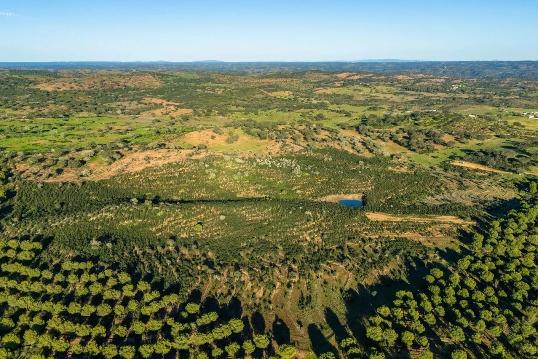 Terreno para Venda em Mertola Foto 3