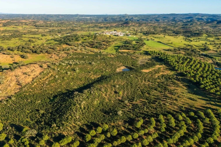 Terreno para Venda em Mertola Foto 2