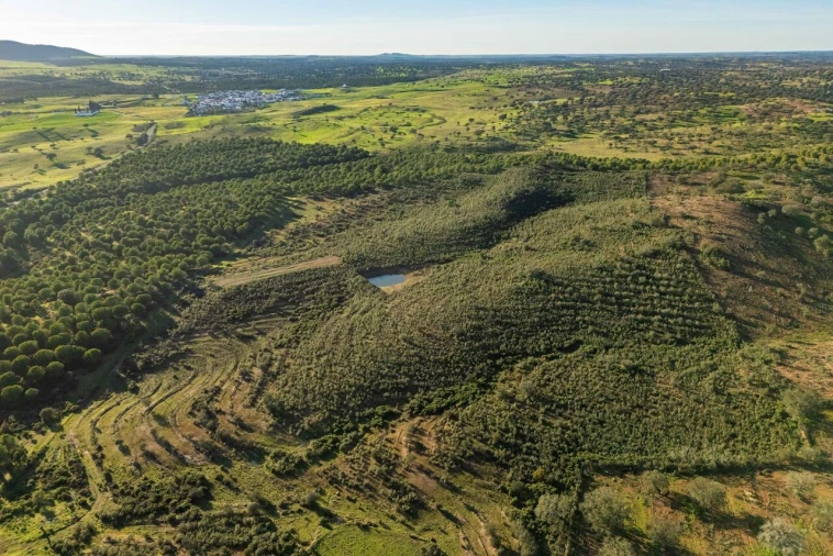 Terreno para Venda em Mertola Foto 1