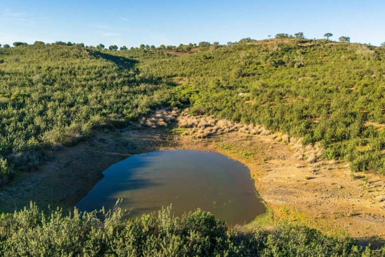 Terreno para Venda em Mertola Foto 6