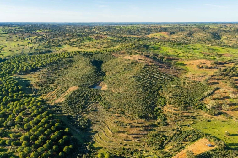 Terreno para Venda em Mertola Foto 5