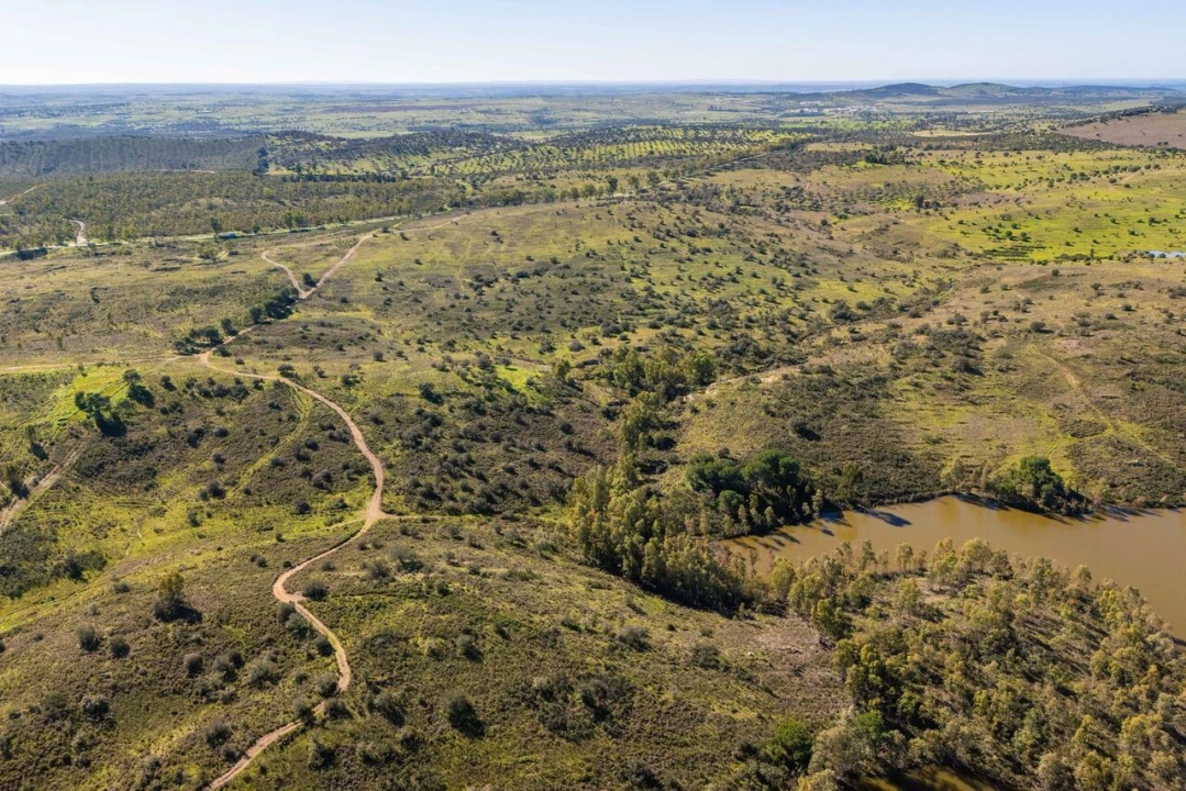 Terreno para Venda em Santana de Cambas Foto 4