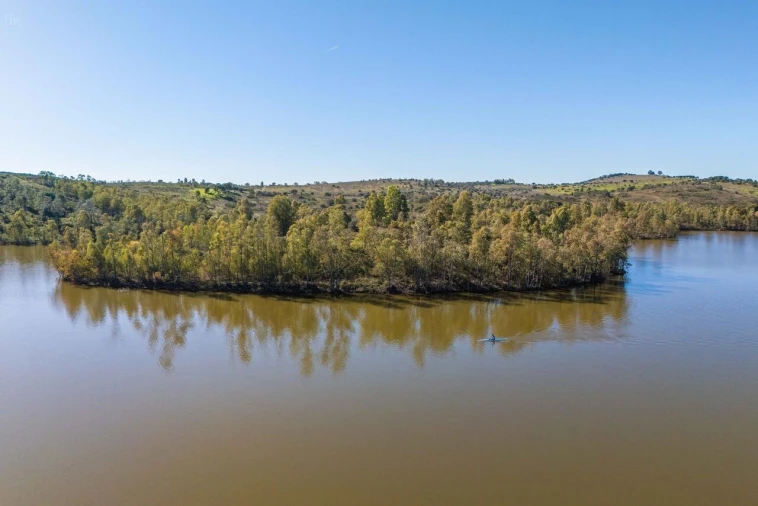 Terreno para Venda em Santana de Cambas Foto 8