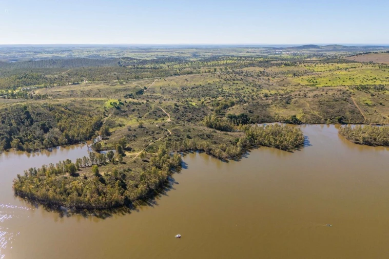 Terreno para Venda em Santana de Cambas Foto 3