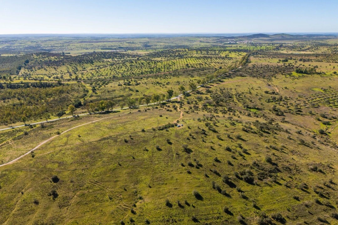 Terreno para Venda em Santana de Cambas Foto 5