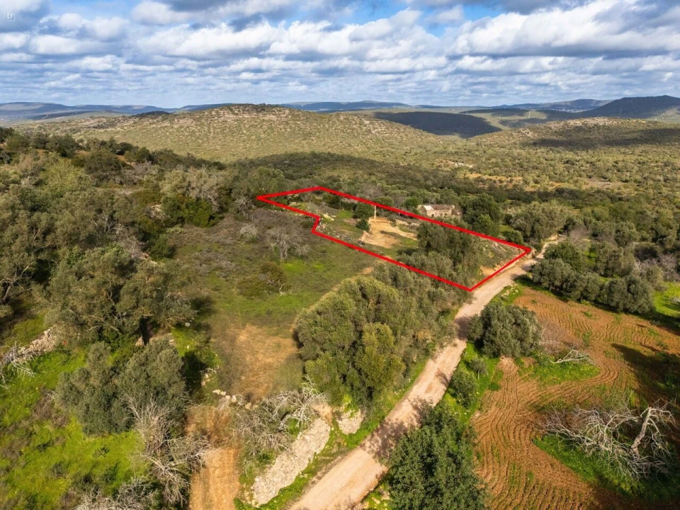 Terreno para Venda em Boliqueime Foto 11